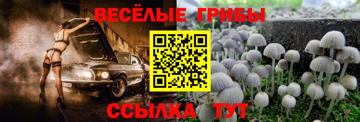 Псилоцибиновые грибы ЛСД  Вход с VPN  Галлюциногенные грибы ЛСД  Донской 